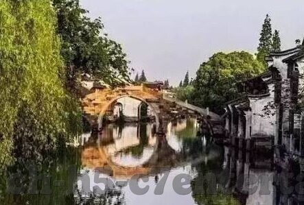 巴青赛足球比分-巴青赛足球比分，绿茵场上的青春激战与梦想交响