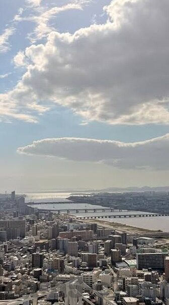 win比分-足球比分-Win比分，足球世界的数字密码与激情解码