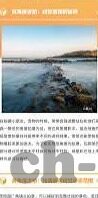新浪足球比分网-深度解析新浪足球比分网，足球迷的数字战场与信息枢纽
