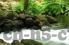 亚运足球比分-亚运足球比分，激情与荣耀的数字交响曲