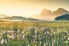 足球比分比赛直播500-足球比分与比赛直播，500字背后的激情与数据盛宴