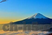 足球比分历史统计-足球比分历史统计，穿越时空的绿茵场数据密码