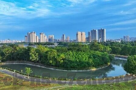 足球比分怎么回事-足球比分，赛场风云的数字密码